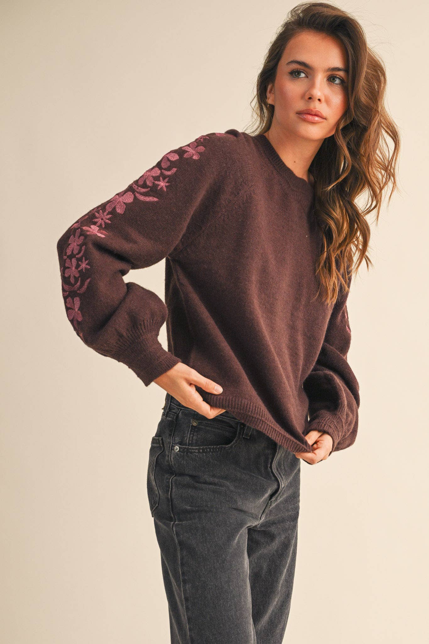Pullover Sweater with Floral Embriodered Sleeves
