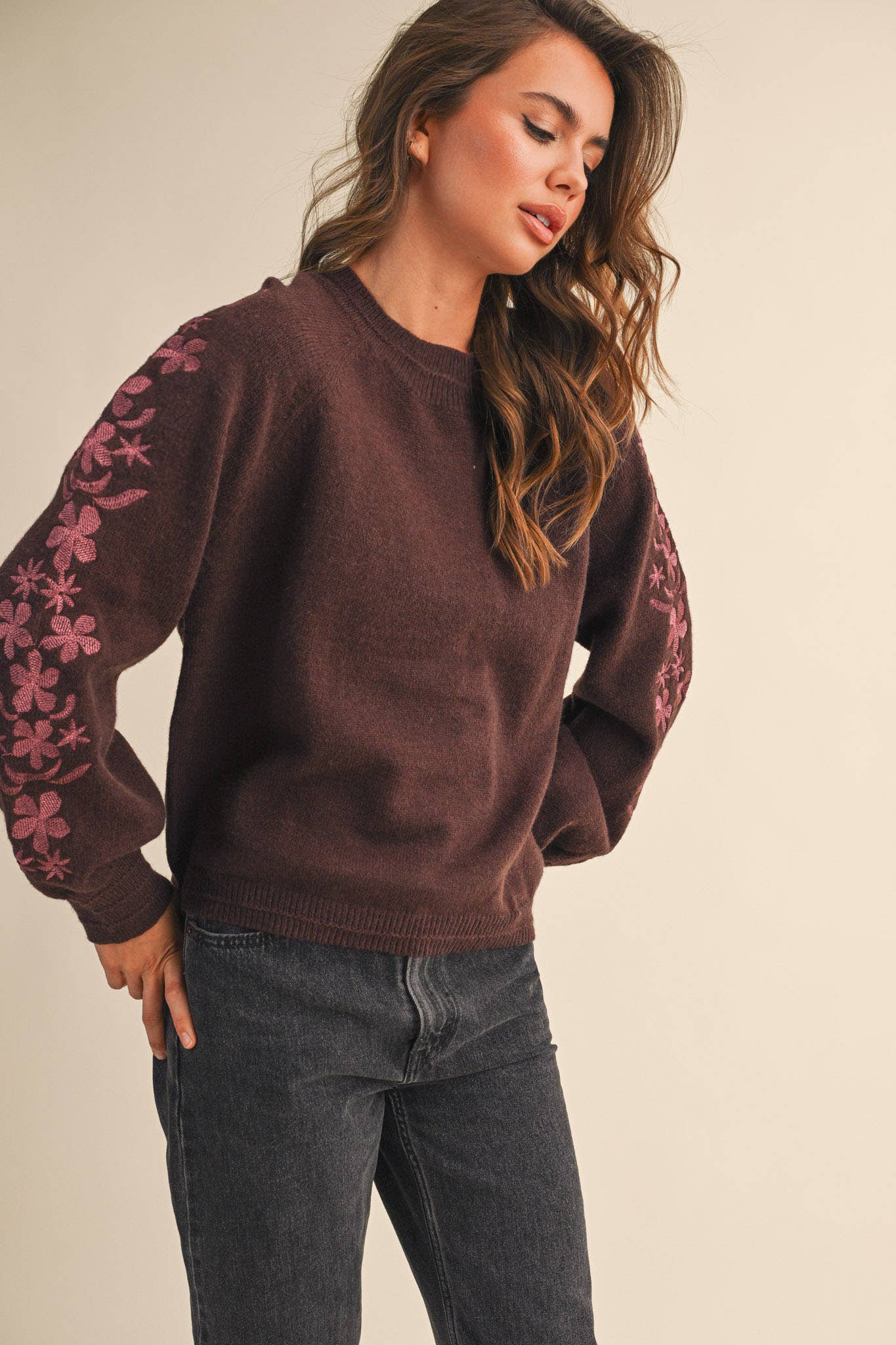 Pullover Sweater with Floral Embriodered Sleeves