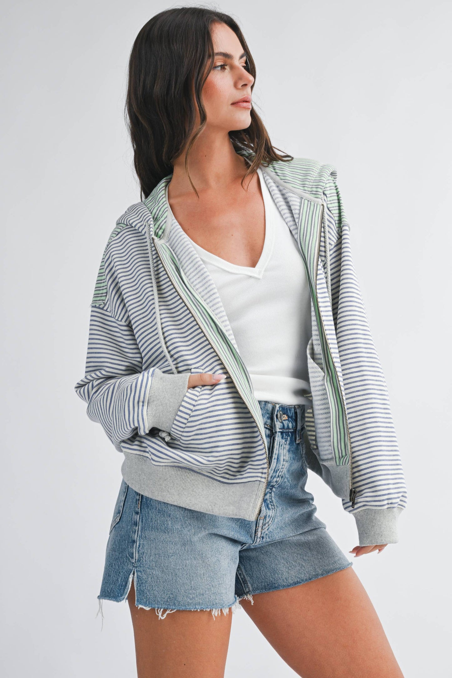 Striped Zip Hoodie