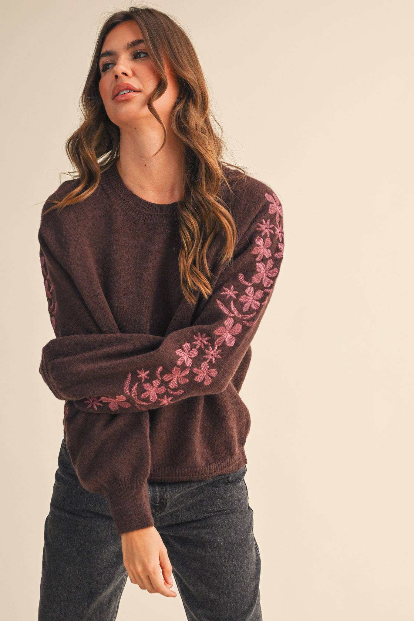 Pullover Sweater with Floral Embriodered Sleeves